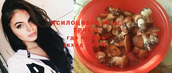 метадон Алексеевка